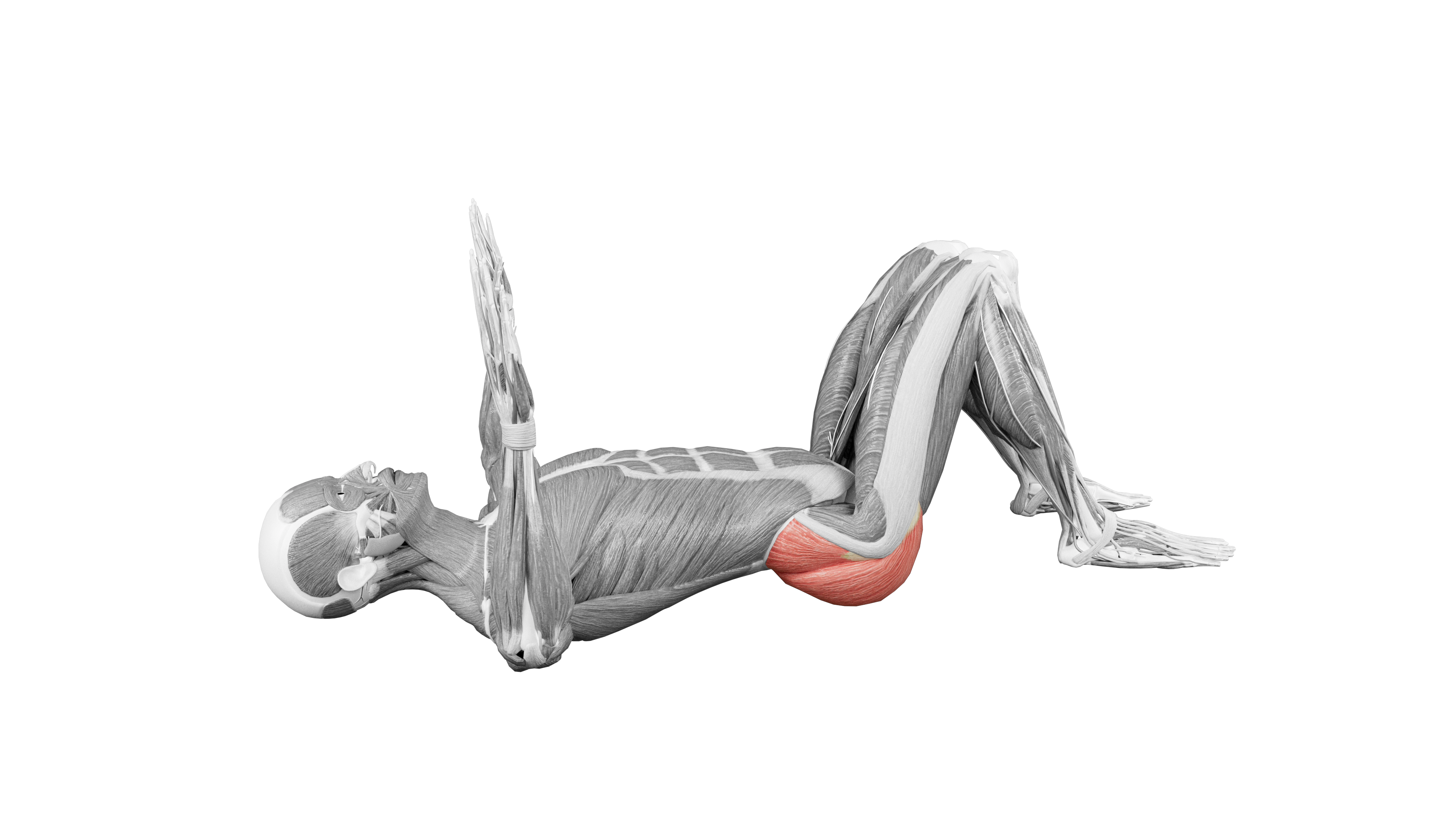 Figure Four Stretch