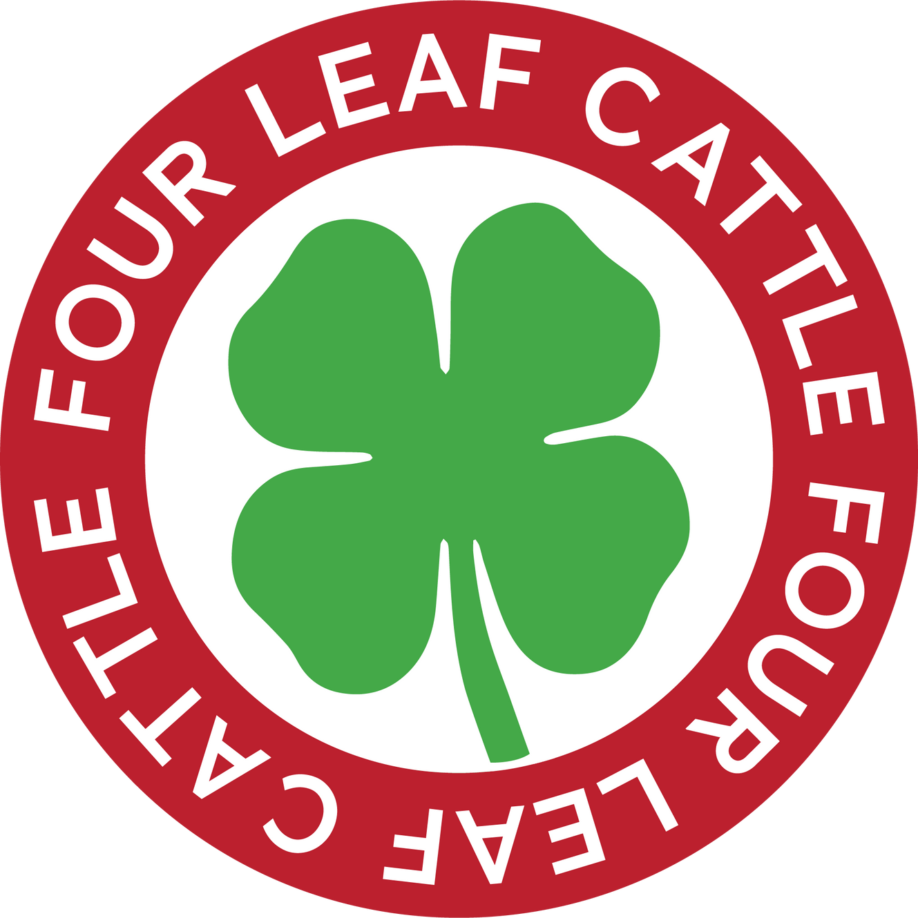 Four Leaf Cattle Hereford Show Cattle four-leaf-cattle-hereford-show-cattle