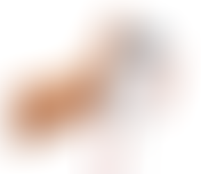 Wireless Absolute Pressure-Temperature Sensor