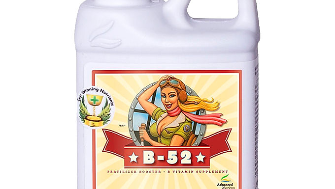 B-52 500ML