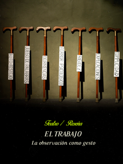 El trabajo: La observación como gesto