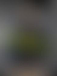 Judy Bond: La blusa en huelga