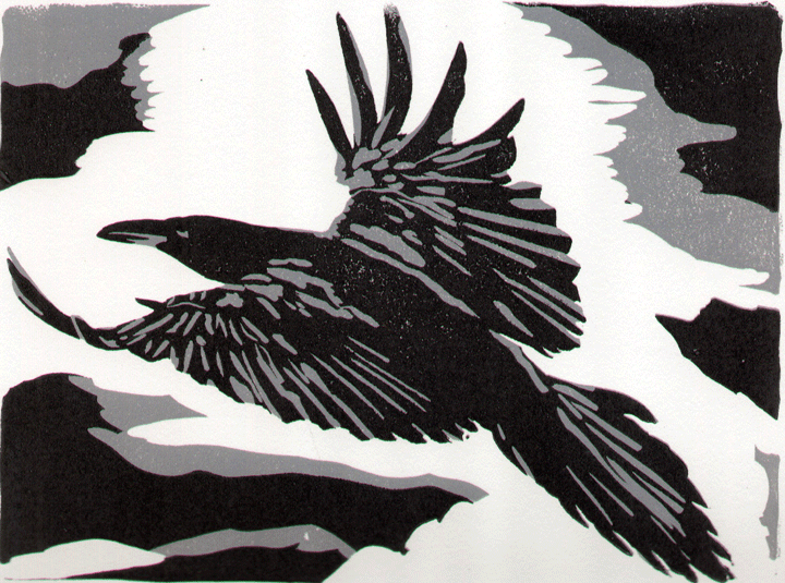 crow_in_flight_R.gif
