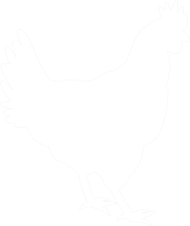 poultry_icon