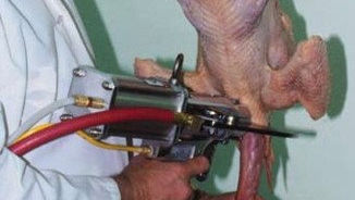 Upgrade Your Poultry Line with Jarvis Canada: Fast, Safe, and Efficient Tools for Every Step