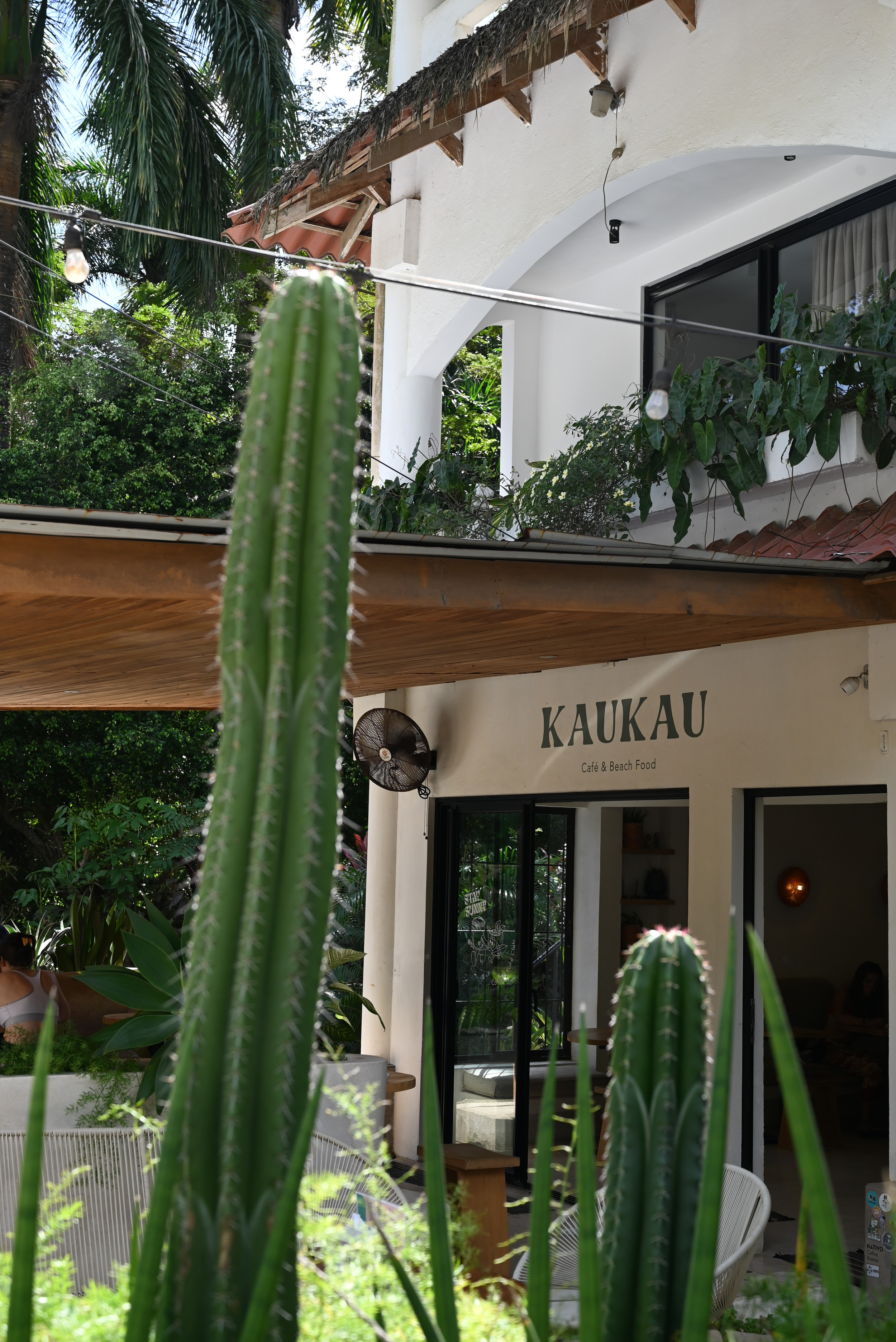 Kaukau Santa Teresa 2