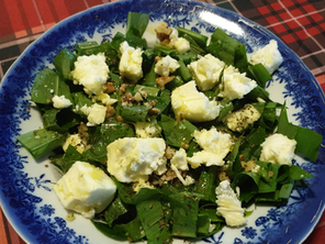 ŠARENICA-SALATA OD SREMUŠA I SIRA