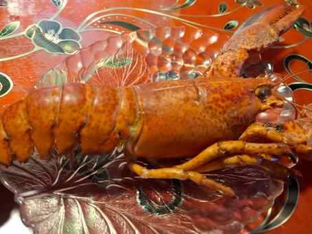 JASTOGOV REP (LOBSTER TAIL)