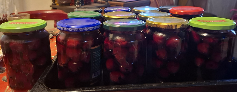 KOMPOT OD TREŠANJA ZA ZIMU