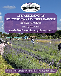 Carshalton Lavender PYO Harvest 2026.png