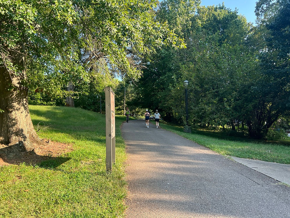Freedom Park Joggers