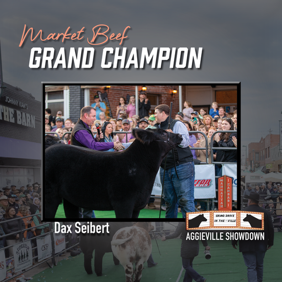 Market Beef Grand Champion
