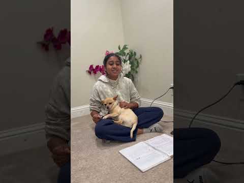 Saveri Varnam — Practice with Pet