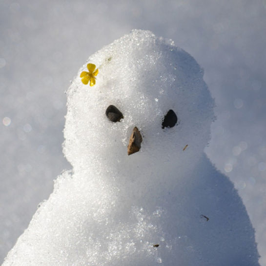 snowman-1227475_1280_edited_edited_edite