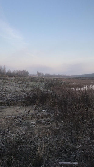 2019_11_15_001.jpeg