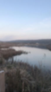 2019_11_15_006.jpeg