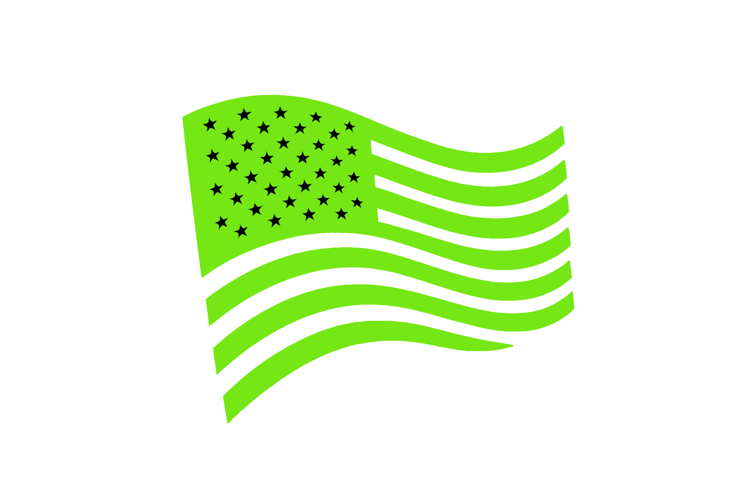 American flag icon representing Deceptio.ai as a certified veteran owned small business