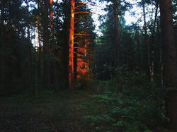 IMG_733880.1JPG.1.jpg