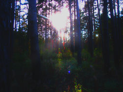 IMG_263350.JPG