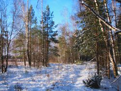 IMG_211600.JPG