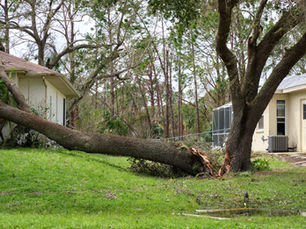 Storm-damaged tree split near a home in Hagerstown, MD, showing major structural failure after severe weather.