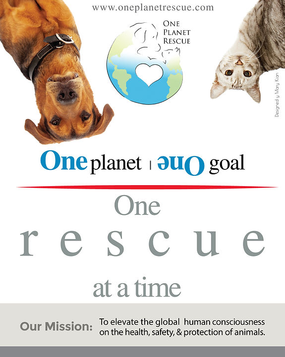 Designed for social media advertisement by Mary Kian for One Planet One Rescue 