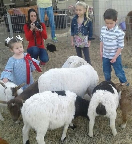 Petting Zoo Rental Dallas Fort Worth
