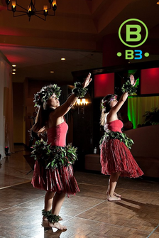 Hula dancers Hawaiian Dancers in Dallas