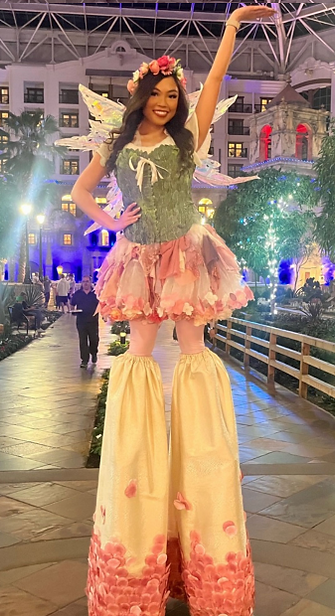 Dallas Fairy for Events.png