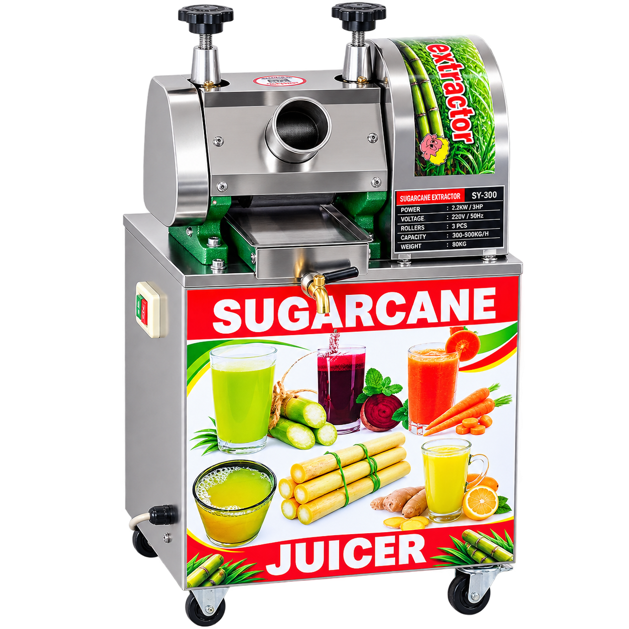 SUGARCANE JUICERS