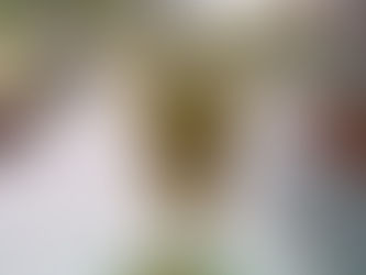 This is the Capability of Lumia 610 :)