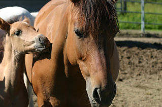 Mother and baby