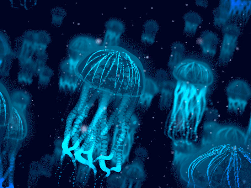 fe4bc367c796f800a0897599c2ba2022.gif