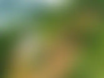 PL 608/2023 – Criminaliza a conduta de quem AUMENTA os preços de produtos e serviços de forma ABUSIVA