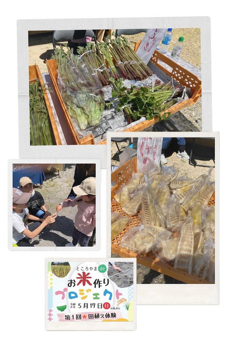 ところやま元気会2026がスタートします!5月5日(祝)は山菜市 子ども向けイベント 雑貨店出店(予定)!!