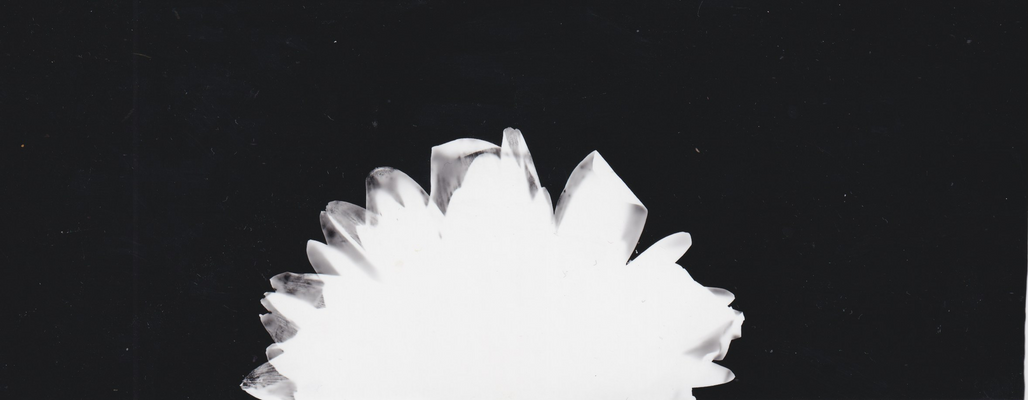 Untitled-1 (dragged) 30.tiff