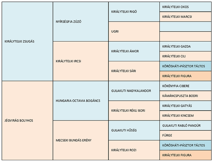 Új Microsoft Office Excel munkalap (7).png