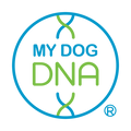 mdd_logo_color_1200.png