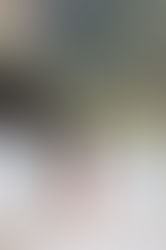 Notre expérience avec les éléphants en Thaïlande