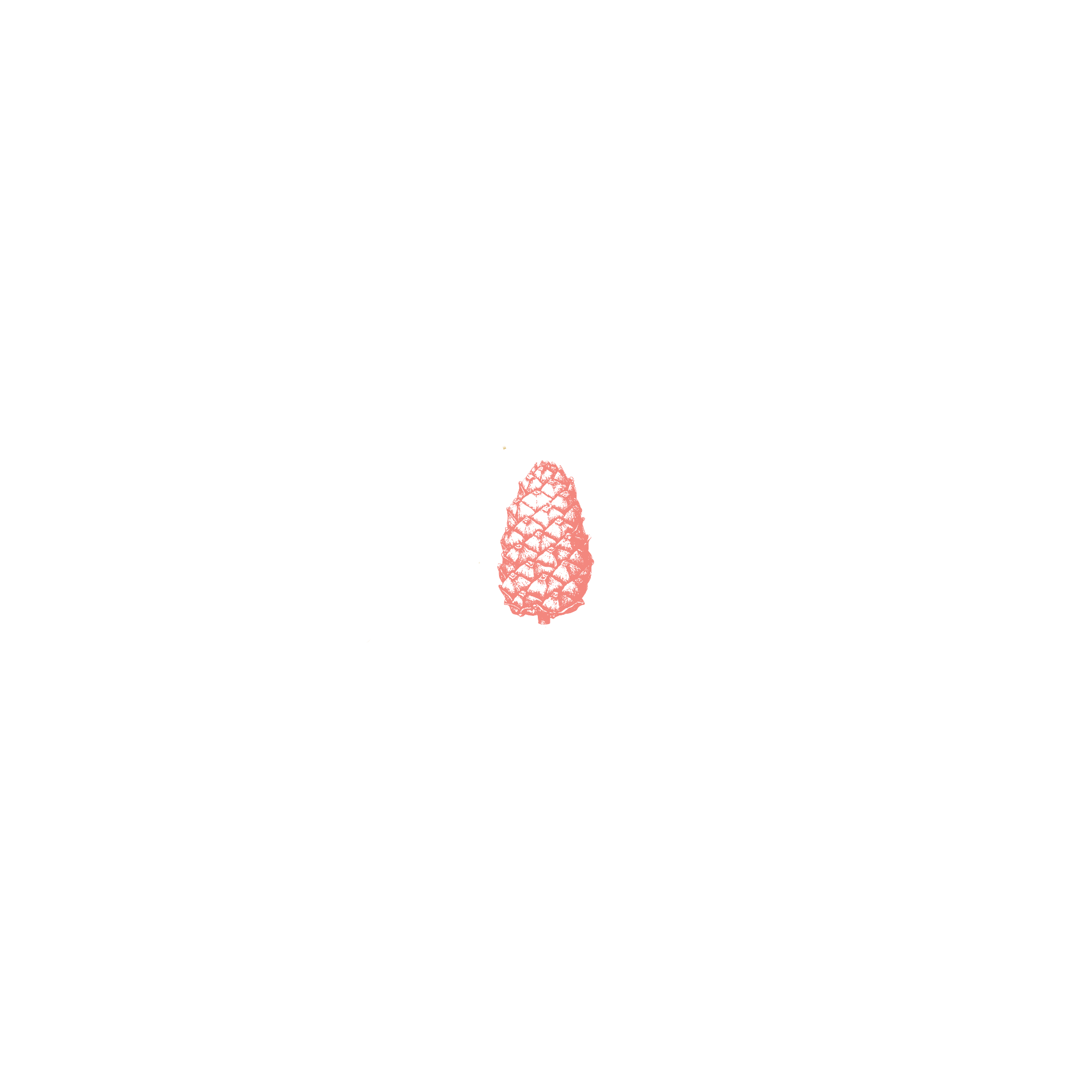 Zirbin_Animation.gif