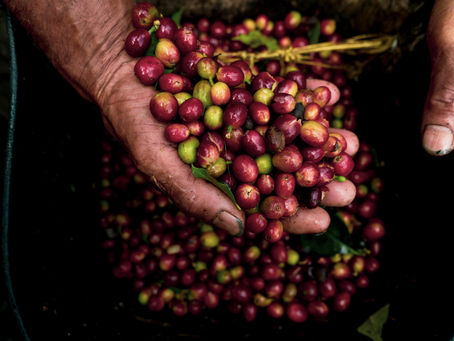 ¡Café, un viaje por Colombia en una taza!