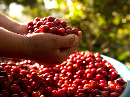¡Café con V60 en Casa!