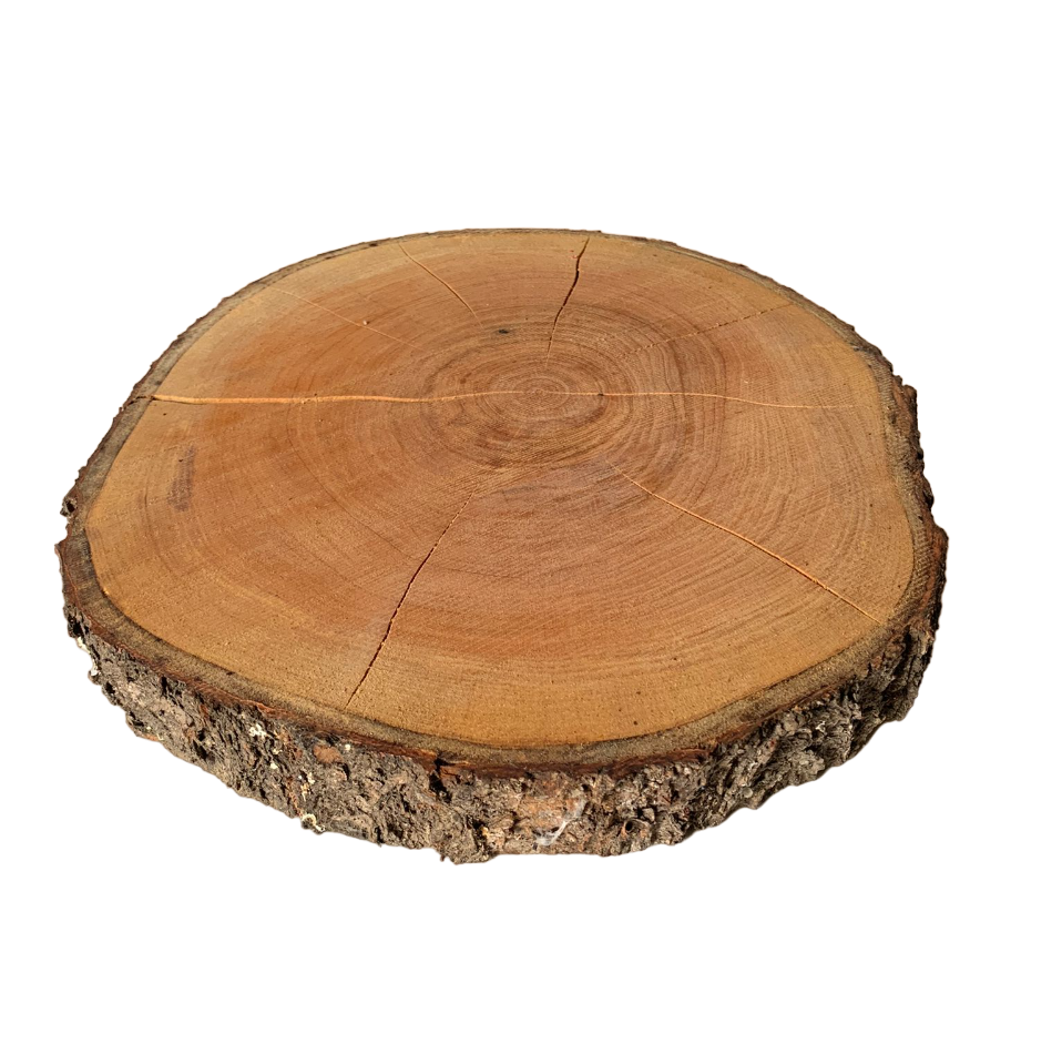 Holzscheibe, Ø ca. 23cm