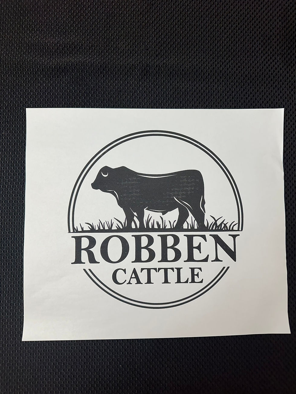 Robben Cattle