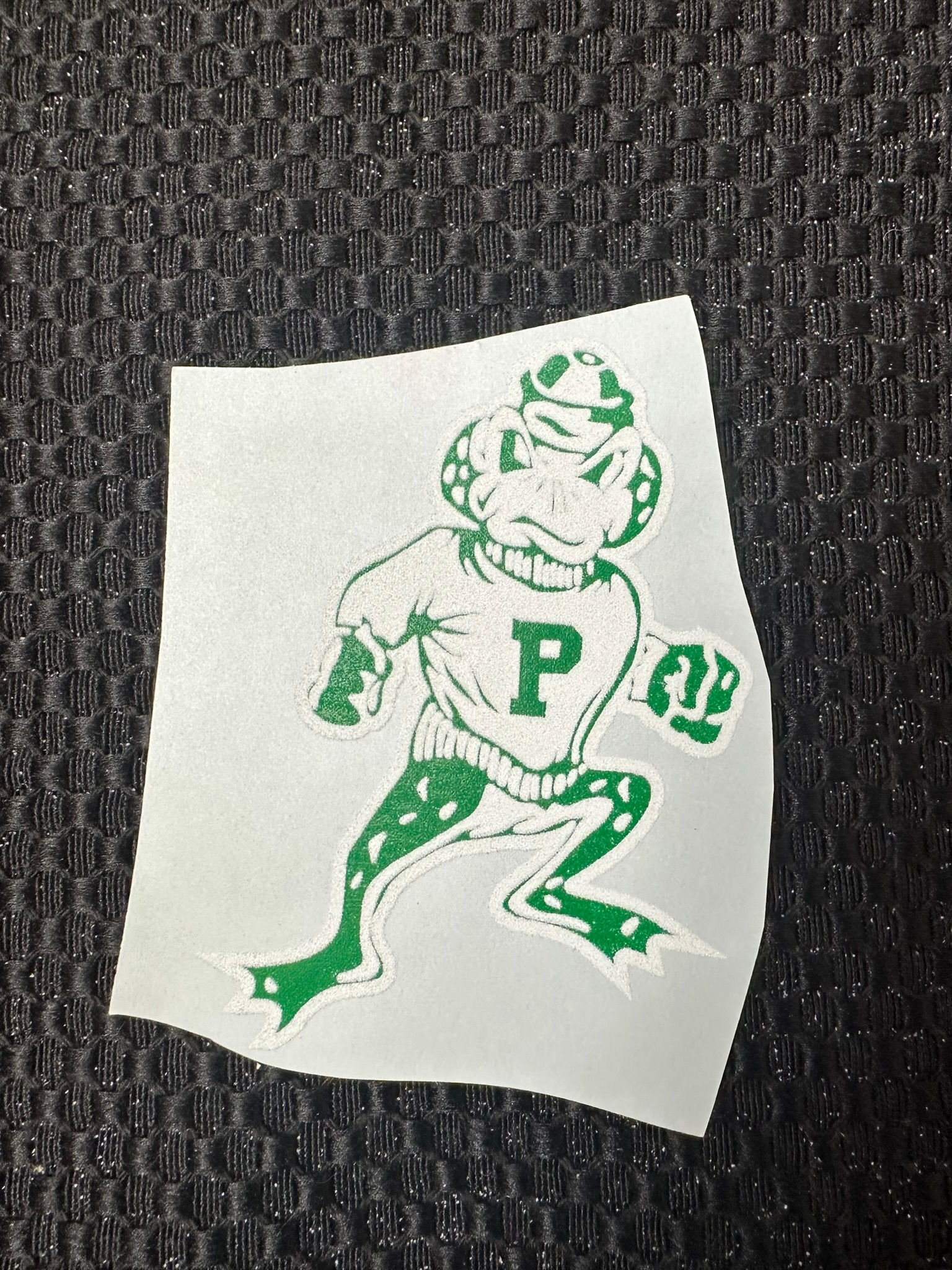 Greenback Frog - Green & White