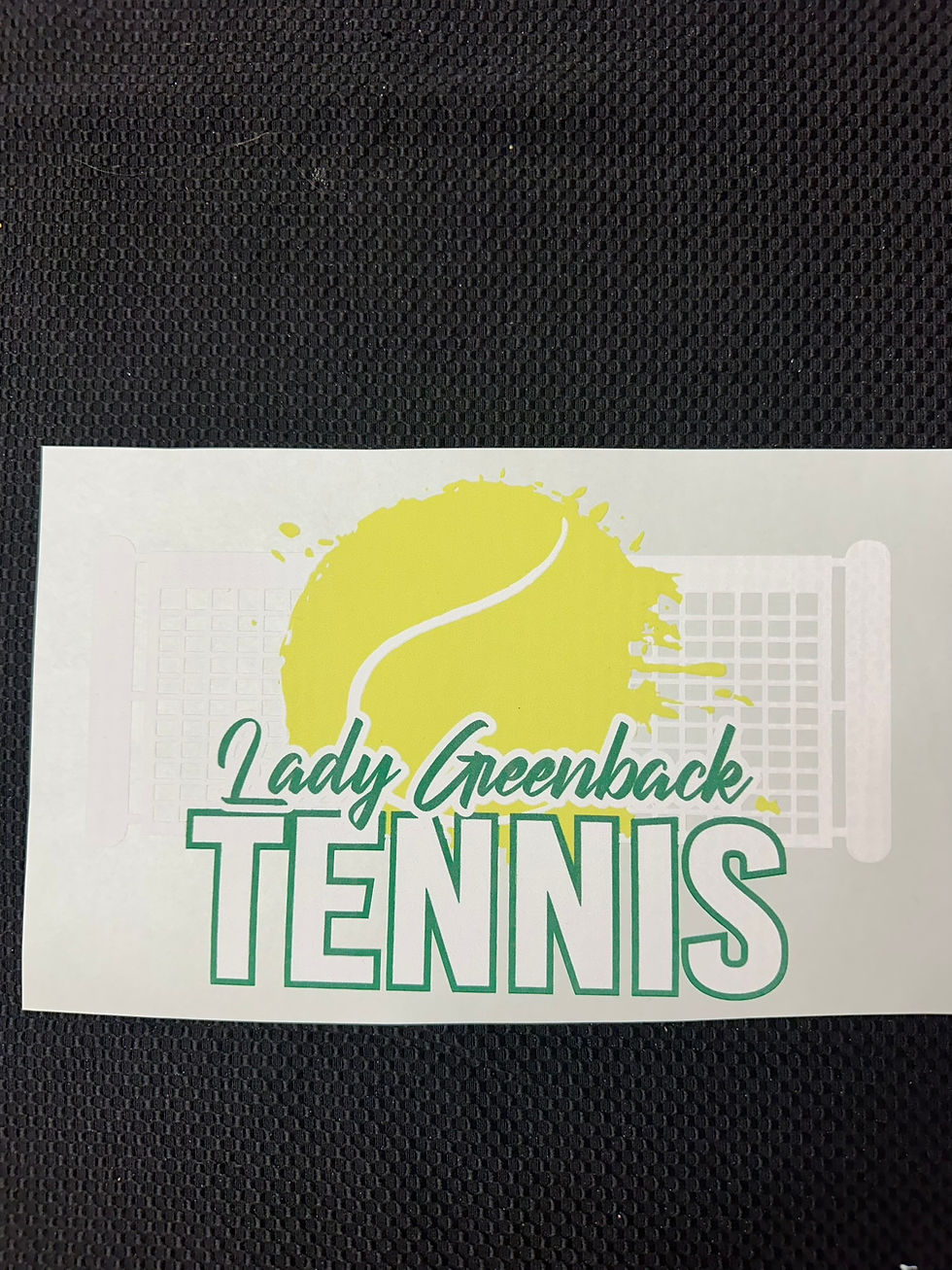 Greenback Tennis - Net & Ball