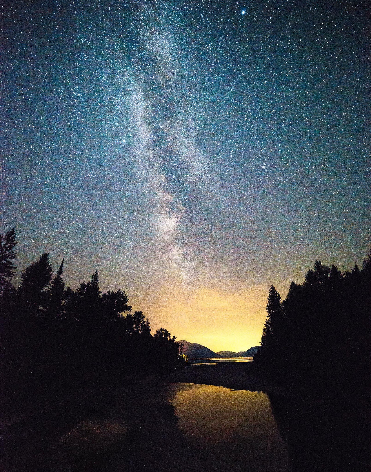 Milky Way above silhouetted trees