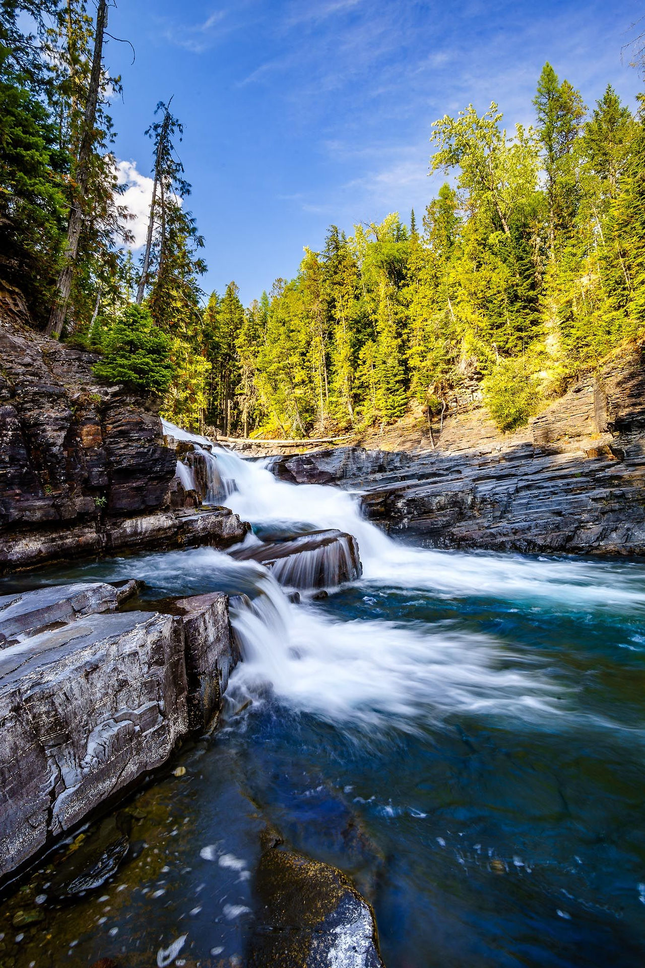 Mountain stream in a rocky forest canyon