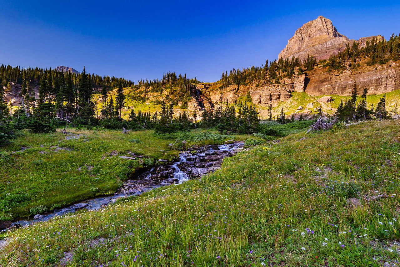 Alpine meadow with a winding stream below a rocky peak