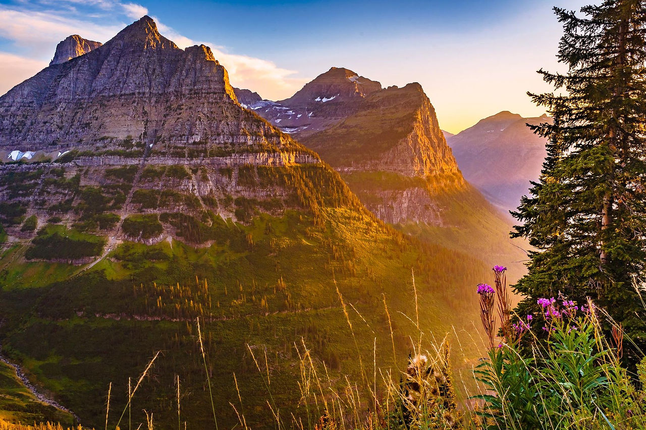 Peaks above a valley of wildflowers at sunset